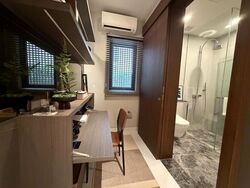 Parksuites (D10), Apartment #635127561